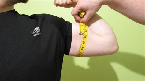 Average Bicep Size And Circumference Males Females Teens