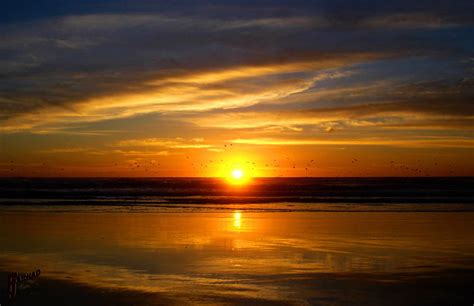 Sunset Pacific Ocean 1 Sunset Pacific Ocean Washington Flickr