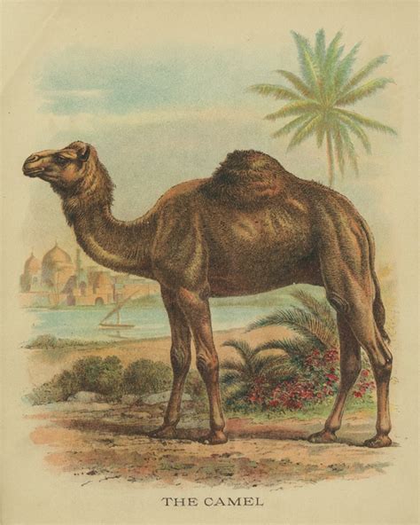 It's a col vector to use in stories for children or as a mascot in products in ecological campaigns and more. Vintage Animal Printables - House of Hawthornes