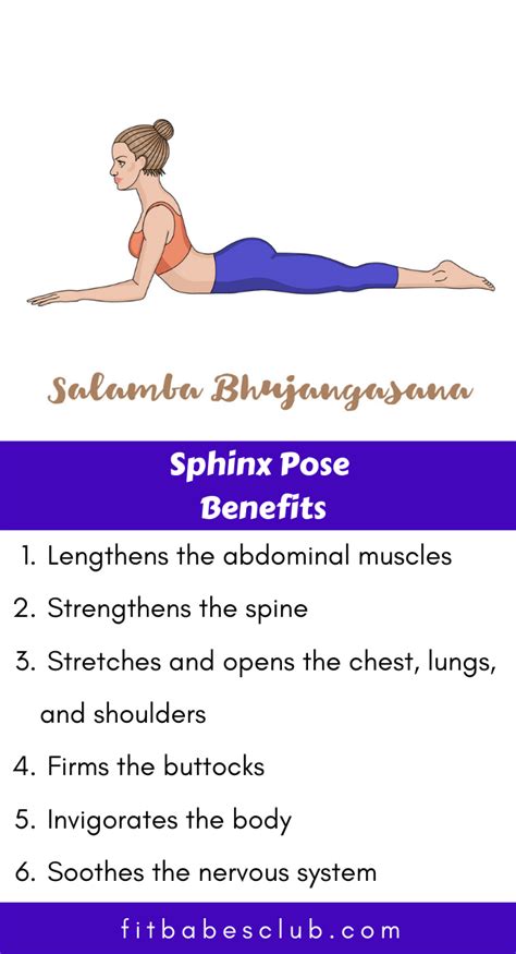 Yoga Postures Acro Yoga Vinyasa Yoga Yoga Information Yoga Facts