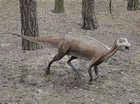 Pictures And Profiles Of Ornithopod Dinosaurs