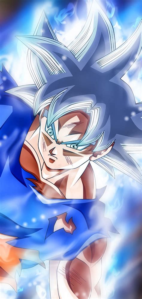 Goku Ultra Instinct Mastered Dragon Ball Super Dragon Ball Gt