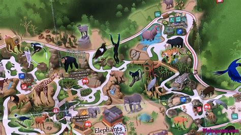 2019 Los Angeles Zoo Map And Botanical Gardens Youtube
