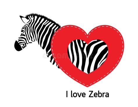 Zebra With Heart Stock Vector Illustration Of Black 85351753