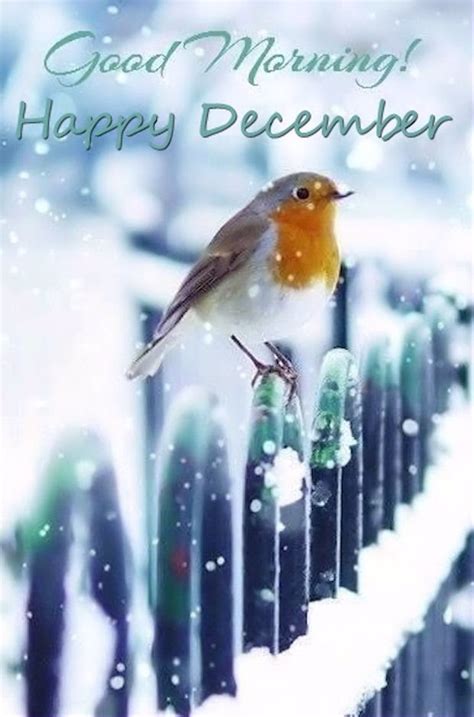 Good Morning December Blessings Images Best Good Morning Hd Images