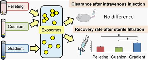 Exosome Isolation Method Markedly Affects The Dispersibility And