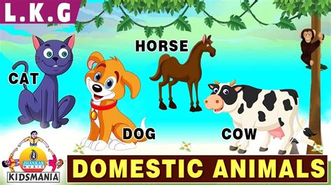 Explore our list of domestic animals names in english. LKG | Domestic Animals | Educational Videos for Kids ...