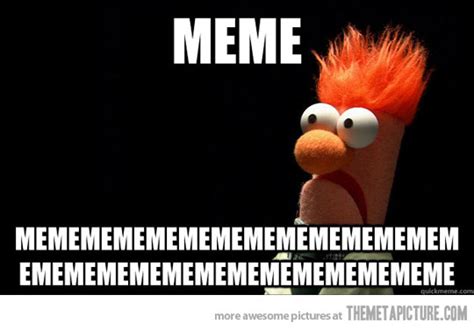 Feeling Meme Ish The Muppets Paste