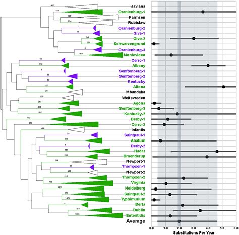 Frontiers Using Evolutionary Analyses To Refine Whole Genome Sequence