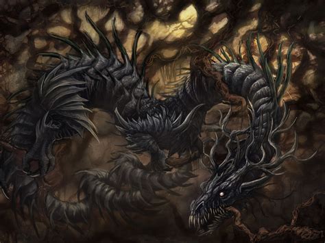 Dragon Noir Racines