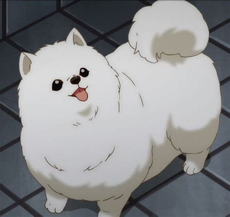 Kedama Anime Puppy Anime Crafts Anime Animals