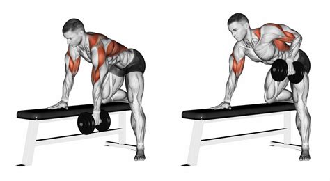 Bent Over Dumbbell Row Kinx Learning