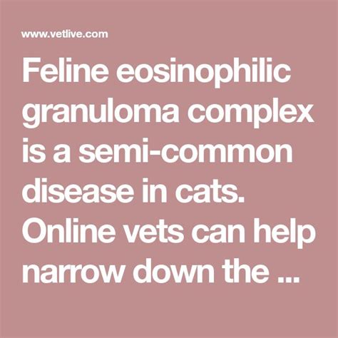 Feline Eosinophilic Granuloma Complex Is A Semi Common Disease In Cats