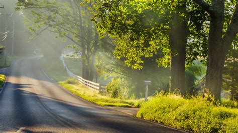 Wallpaper Morning Landscape Road Fog Sunlight Trees 2560x1600 Hd