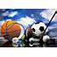 Sports Sliding Puzzles  ProProfs Puzzle Game