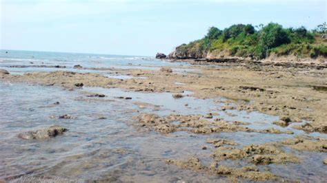 Anda bisa explore spot dan keindahan yang disuguhkan pantai caruban setiap saat. Pantai Caruban Buka : Lokasi Dan Rute Menuju Pantai Gemah Tulungagung Persembahan Keindahan ...