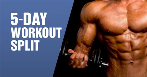 The Best 5 Day Workout Split Routine Fitness Volt