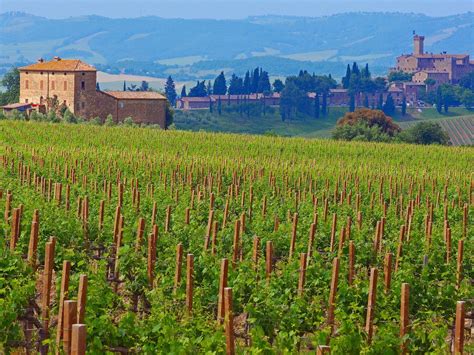 Wine Tasting At Tuscany S Best Wineries Tuscany Wine Wine Tour Tuscany