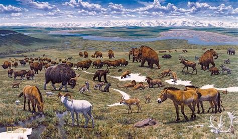 5 What The Mammoth Steppe May Have Looked Like During The Last Ice