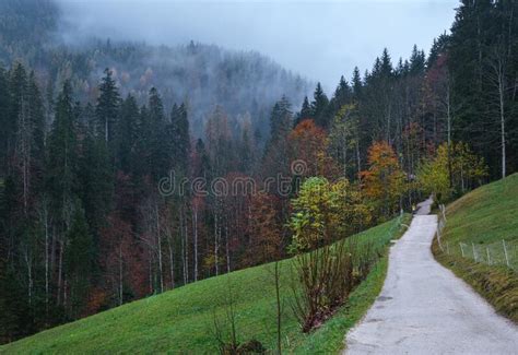 Cloudy And Foggy Autumn Pre Alps Mountain Countryside Path Stock Photo