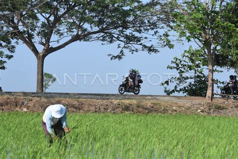 PEMUDIK SEPEDA MOTOR KARAWANG ANTARA Foto