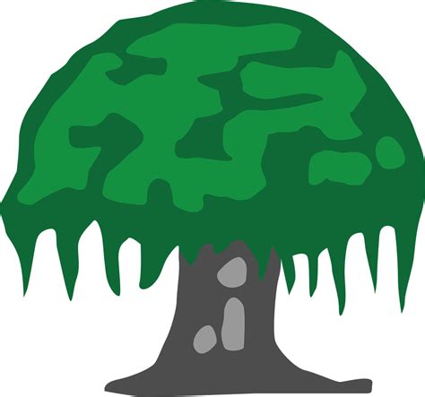 Pohon Beringin Taksonomi Morfologi Habitat Manfaat Mitos