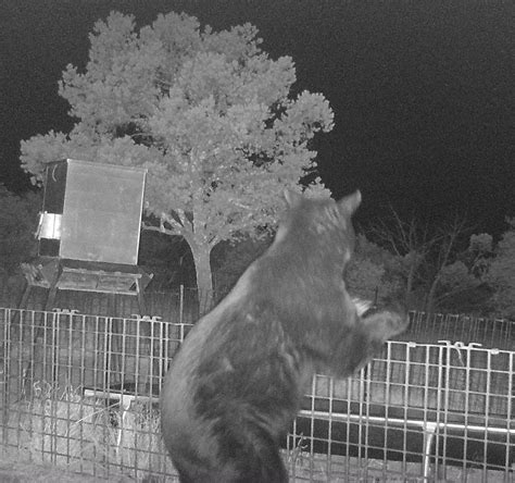 Gallery 1 — Sproul Ranch & Harvard Hotel