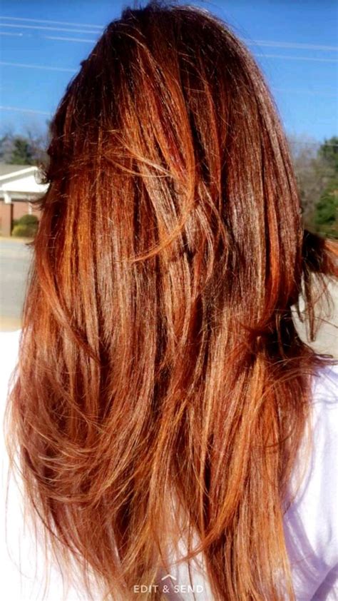 Auburn hair ranges in shades from medium to dark. Auburn hair with copper highlights | Hair color auburn ...
