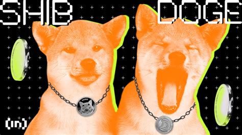Dogecoin Doge Vs Shiba Inu Shib Whats The Difference