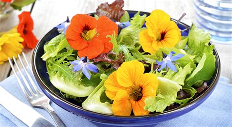 9 Edible Flowers With Surprising Health Benefits