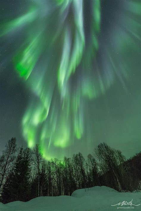 Aurora Borealis Northern Lights Northen Lights Tromso Meteor Shower