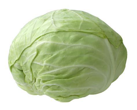 Fresh Cabbage Png Image Purepng Free Transparent Cc0 Png Image Library