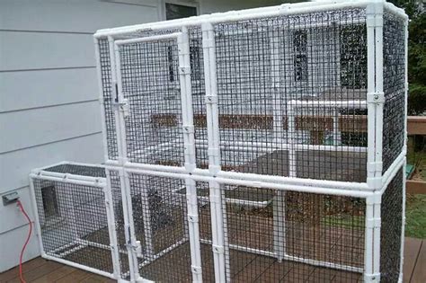 Best budget outdoor cat enclosure: Pvc catio? | Cat cages, Diy cat enclosure, Outdoor cat ...