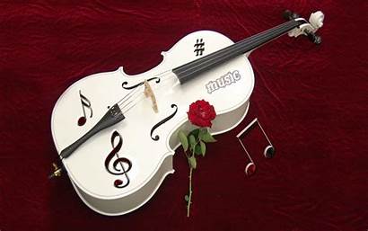 Violin Rose Instrument Flower Wallpapers Musical Instruments