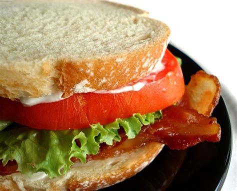 Best Grilled Cheese Blt Recipe - How to Make Yummy Grilled Cheese Blt Recipe