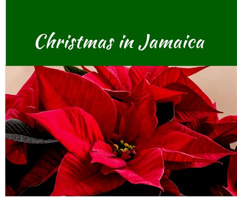 Christmas In Jamaica How Does Jamaica Celebrate Christmas