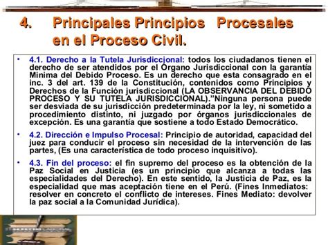 Principios Generales Del Derecho Procesal En General