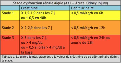 Insuffisance Rénale Aigüe Acute Kidney Injury Nephrologuebe