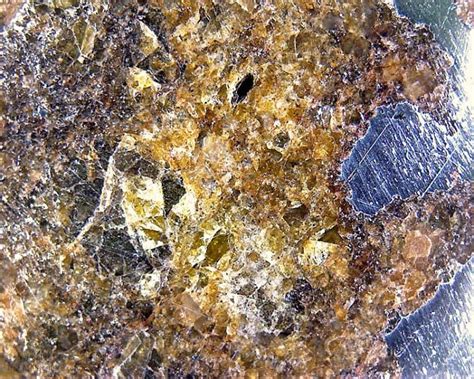 Check spelling or type a new query. Stony-Iron Meteorites