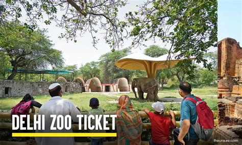 Delhi Zoo Ticket Price And Booking Process 2024 Theunsure