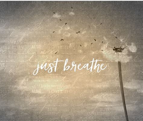 Just Breathe Quote With Dandelion By Motivateme Redbubble