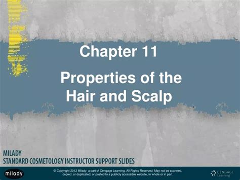 Ppt Chapter 11 Properties Of The Hair And Scalp Powerpoint