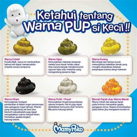 Check spelling or type a new query. Ketahui Tentang 4 Warna PUP si Kecil dan Kaitannya dengan ...