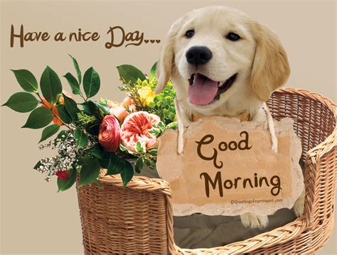 Good Morning With Dog Good Morning Wishes And Images