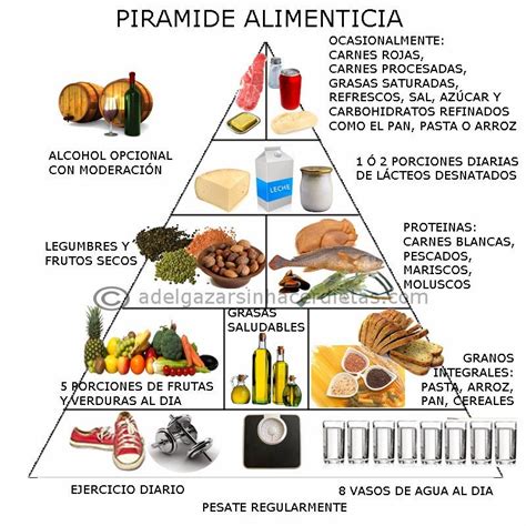 La PirÁmide Alimenticia Y El Plato Nutricional Para Una Alimentación