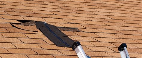 5 Types Of Roof Repairs You Need To Know About Clearwater