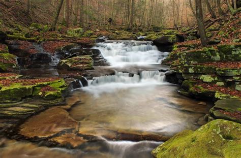 Free Picture Nature Landscape Creek Waterfall River Stream Water