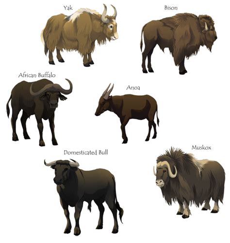 Bovine Animals Hooved Animal Animals Ancient Animals