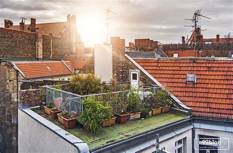 trik merancang taman  atap rumah dilengkapi ide gambar