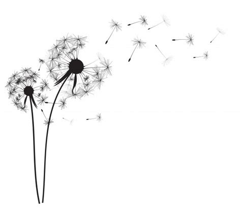 Free plant graphics for all nature, flowers, seeds, natural, making a wish, belief, romantic and dreamy vector projects. Abstract dandelion background | Premium Vector